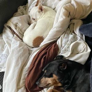 Meet your Posher, Raegan